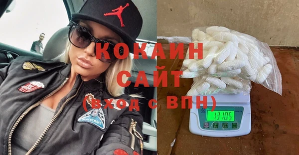 индика Сосновый Бор