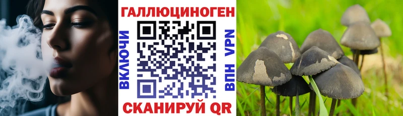 цены наркотик Ершов Псилоцибиновые грибы Psilocybe